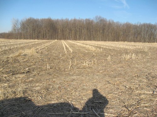 Property photo 3 - 44 Acres Offered in 3 Tracts
